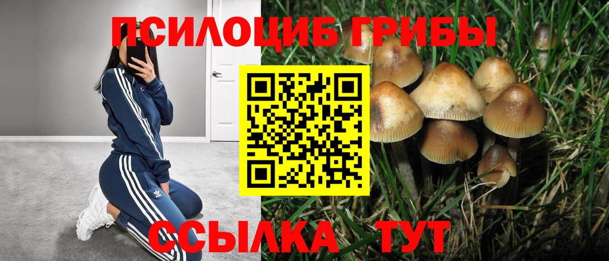 Галлюциногенные грибы Cubensis  Вход с VPN  Беслан 